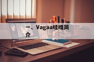 一、Vagaa哇嘎简介