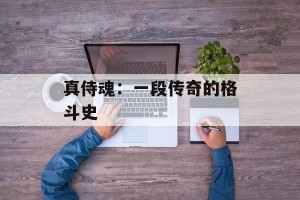 真侍魂：一段传奇的格斗史