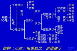 探究手机游戏成瘾原因-心理与生理因素分析