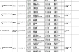手机传奇游戏单职业版本特点分析-深度玩法解析