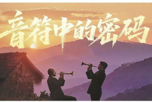 我就想认真做影视：当艺术与商业的碰撞