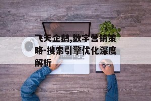 飞天企鹅,数字营销策略-搜索引擎优化深度解析