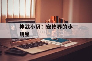 神武小贝：宠物界的小明星