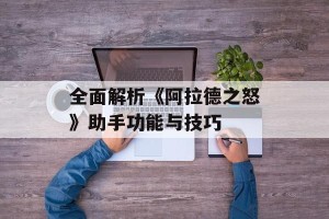全面解析《阿拉德之怒》助手功能与技巧