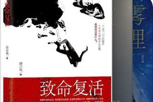 2025年热门电视剧盘点：免费又好看，你追了吗？