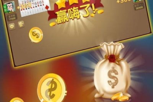 手机联网保皇游戏,深入体验与优化策略-玩家必备指南