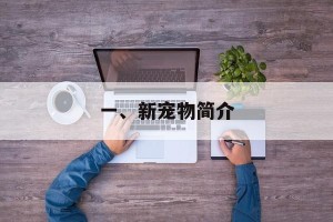 一、新宠物简介