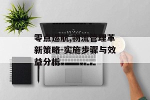 零点巡航,物流管理革新策略-实施步骤与效益分析