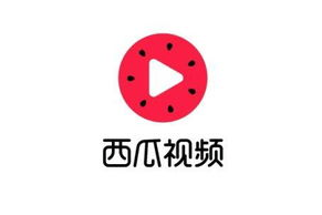 正版西瓜视频：2025年内容版权保护的革新之路