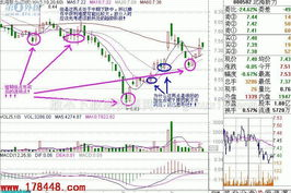 2018好玩的手机游戏排行,热门游戏推荐与玩法解析