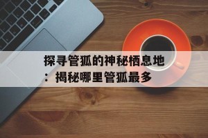 探寻管狐的神秘栖息地：揭秘哪里管狐最多