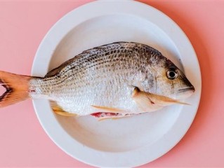 为什么烤鱼大多2.8斤一条 业内人士揭秘