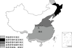 大地资源网中文在线观看体验优化与内容探索