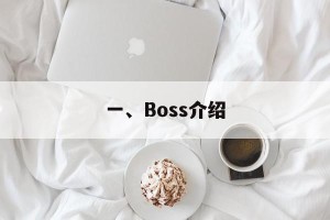 一、Boss介绍