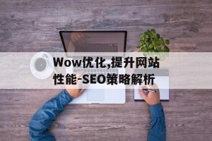 Wow优化,提升网站性能-SEO策略解析
