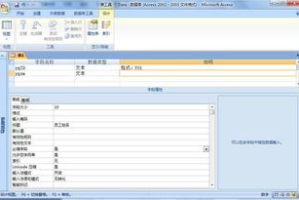 Access免费版,低成本数据安全解决方案-功能与优势分析