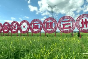 忘忧草影视：2025年短视频平台的内容创新与影响力分析