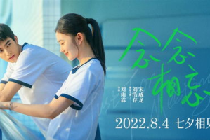 青春影视圈：微博上的青春风暴，你追了吗？