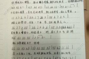 手机钢琴游戏谱选择与使用技巧-提升游戏体验解析