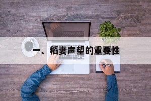 一、稻妻声望的重要性