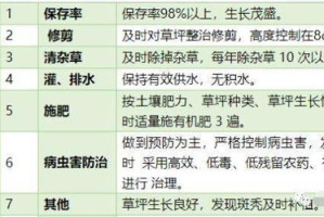 打牌赢手机的游戏攻略与技巧解析