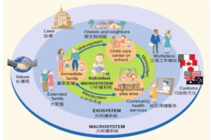 三岁儿童益智手机游戏选择指南-促进认知发展的秘密武器