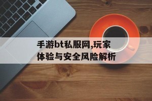 手游bt私服网,玩家体验与安全风险解析