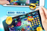 打鱼游戏手机版,掌上娱乐新体验-玩法与技巧解析