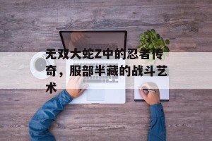 无双大蛇Z中的忍者传奇，服部半藏的战斗艺术