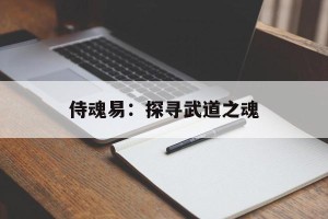 侍魂易：探寻武道之魂