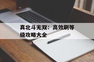 真北斗无双：高效刷等级攻略大全