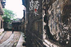 2025年，山房春事：走进传统庭院的幽深梦境