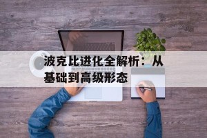 波克比进化全解析：从基础到高级形态
