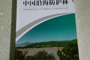 左邻右里：2025年社区文化的振兴与挑战