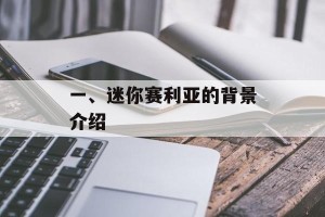 一、迷你赛利亚的背景介绍