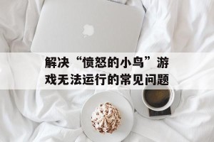 解决“愤怒的小鸟”游戏无法运行的常见问题