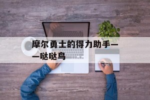 摩尔勇士的得力助手——哒哒鸟