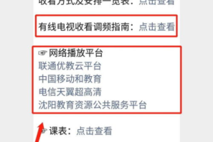 17岁日本电影：高清完整版观看指南与深度解析