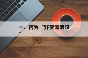 一、何为“野蛮流浪汉”