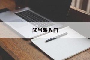 武当派入门