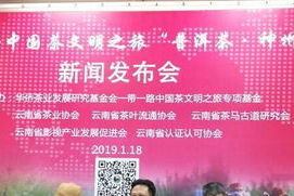 手机单机策略游戏,沉浸式体验-2023热门推荐