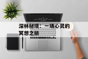 深林秘境：一场心灵的冥想之旅