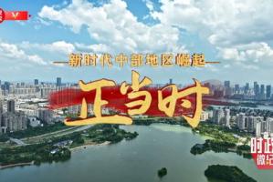 广西影视公司与广西传媒公司：八桂大地上的光影传奇
