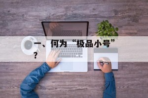 一、何为“极品小号”？