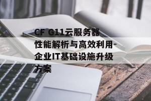 CF G11云服务器性能解析与高效利用-企业IT基础设施升级方案