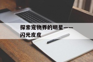 探索宠物界的明星——闪光皮皮