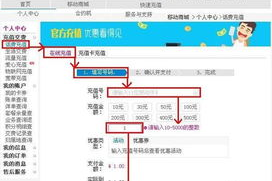 手机版91y游戏中心支付方式，安全便捷的支付体验-解决方案解析