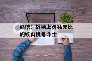 赵信：战场上勇猛无比的绞肉机角斗士