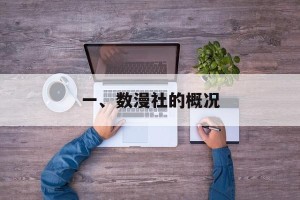 一、数漫社的概况