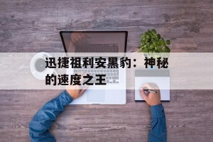 迅捷祖利安黑豹：神秘的速度之王